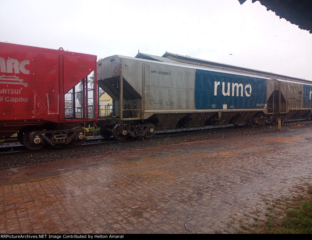 RUMO HPT-033683-1